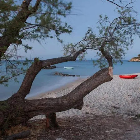 Airy Flat At Xenios Avlais *