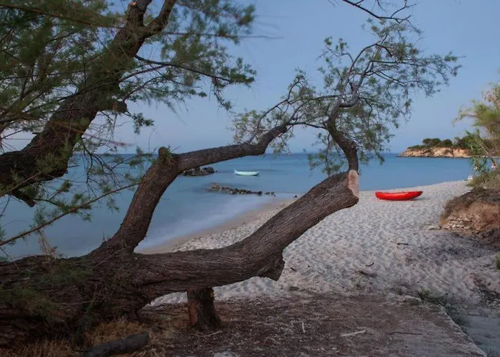 Airy Flat At Xenios Avlais *